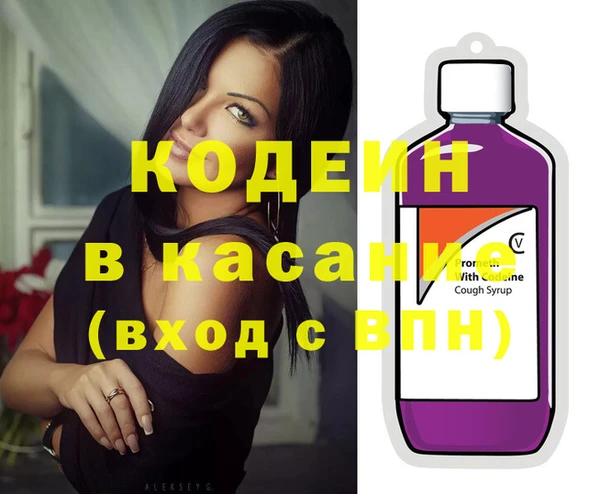 индика Баксан