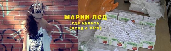индика Баксан