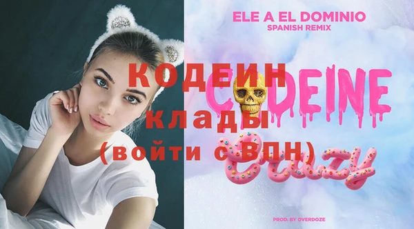 индика Баксан